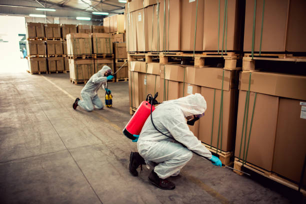 Best Local Pest Control Services  in Oak Hill, TN