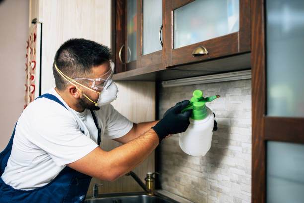 Best Best Pest Control Companies  in Oak Hill, TN