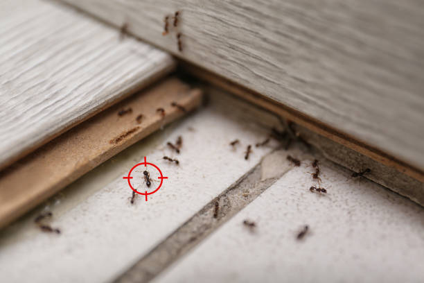 Best Wildlife Control Services  in Oak Hill, TN