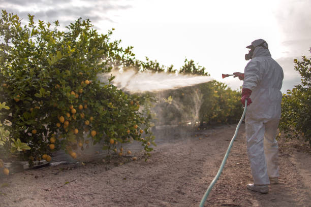 Best Pest Removal Services  in Oak Hill, TN