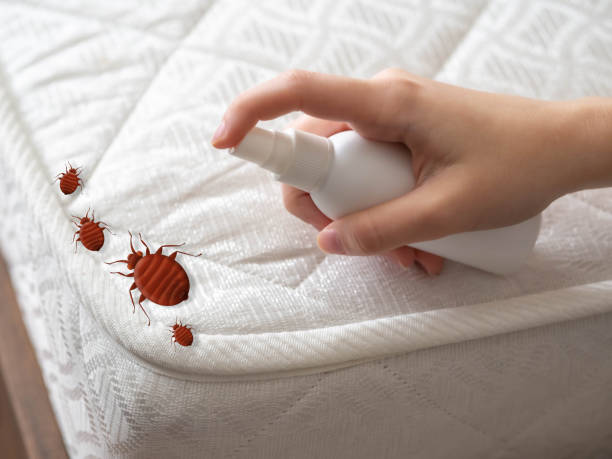 Best Wasp Removal Services  in Oak Hill, TN