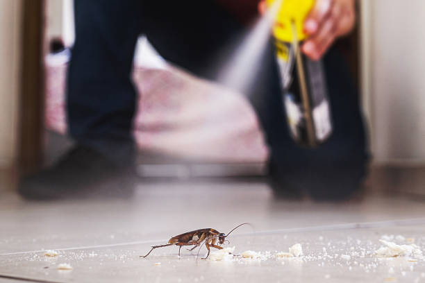 Best Mosquito Control Services  in Oak Hill, TN
